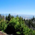 View to the east from the former Geis 50 acre parcel