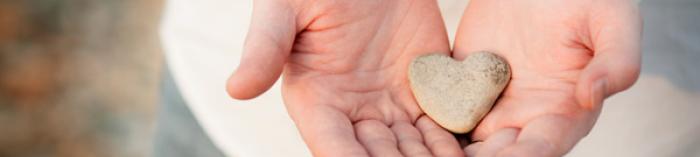 Planned Giving benefiting the Volcan Mountain Foundation